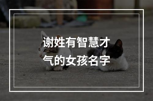 谢姓有智慧才气的女孩名字