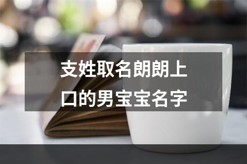 支姓取名朗朗上口的男宝宝名字