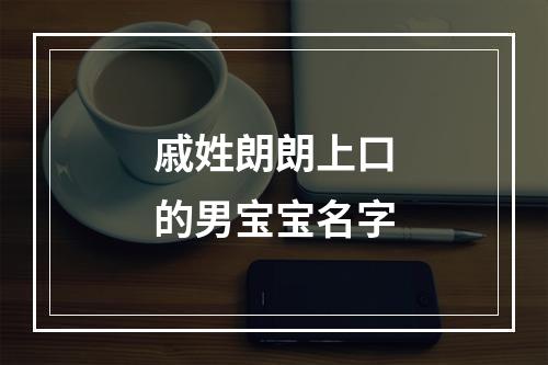 戚姓朗朗上口的男宝宝名字