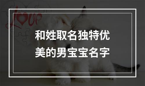 和姓取名独特优美的男宝宝名字