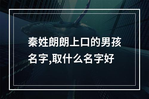 秦姓朗朗上口的男孩名字,取什么名字好