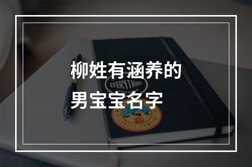 柳姓有涵养的男宝宝名字