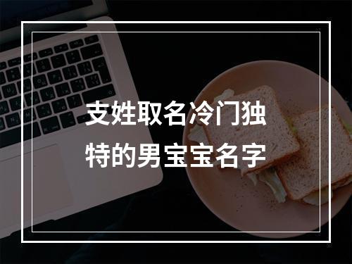 支姓取名冷门独特的男宝宝名字