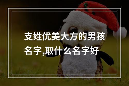 支姓优美大方的男孩名字,取什么名字好