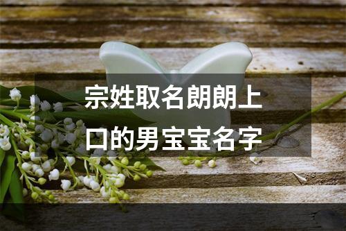 宗姓取名朗朗上口的男宝宝名字