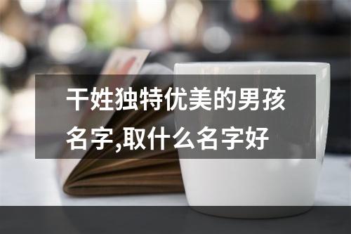 干姓独特优美的男孩名字,取什么名字好