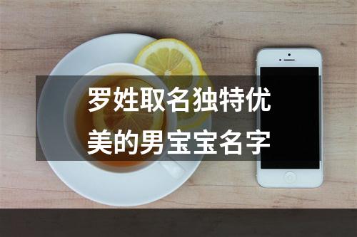 罗姓取名独特优美的男宝宝名字