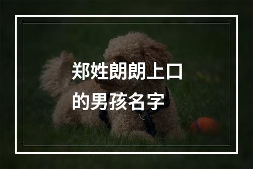 郑姓朗朗上口的男孩名字