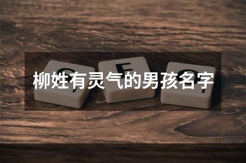 柳姓有灵气的男孩名字