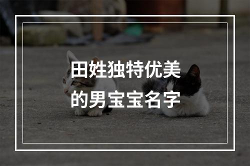 田姓独特优美的男宝宝名字