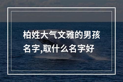 柏姓大气文雅的男孩名字,取什么名字好