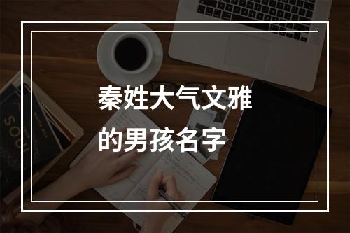 秦姓大气文雅的男孩名字