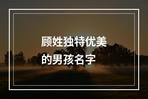 顾姓独特优美的男孩名字