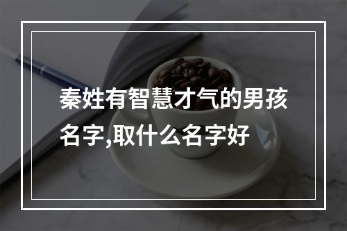 秦姓有智慧才气的男孩名字,取什么名字好