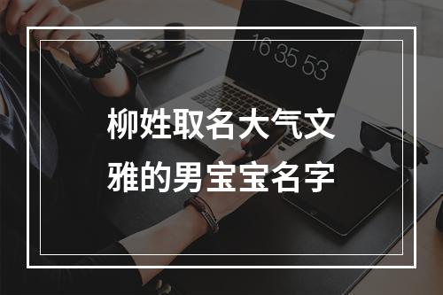 柳姓取名大气文雅的男宝宝名字