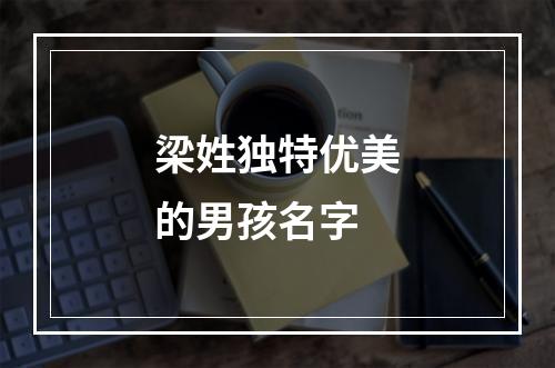 梁姓独特优美的男孩名字