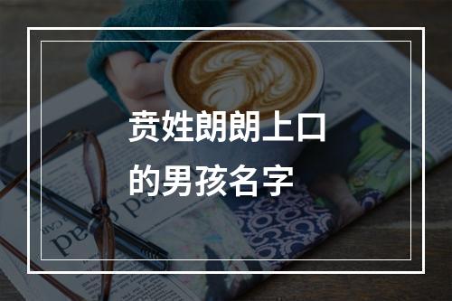 贲姓朗朗上口的男孩名字