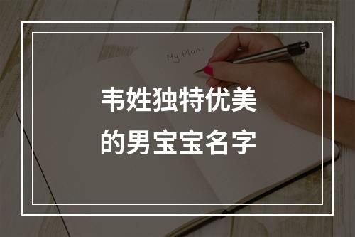 韦姓独特优美的男宝宝名字