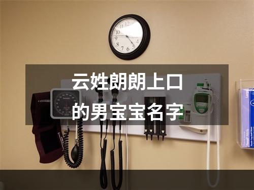 云姓朗朗上口的男宝宝名字