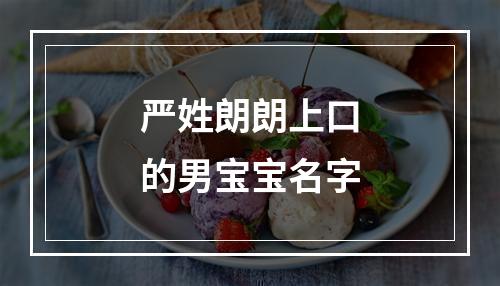严姓朗朗上口的男宝宝名字