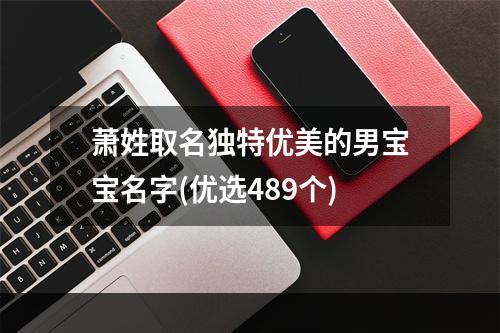 萧姓取名独特优美的男宝宝名字(优选489个)