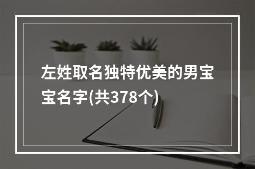 左姓取名独特优美的男宝宝名字(共378个)