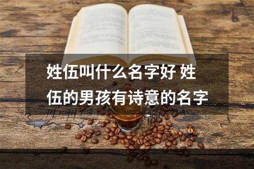 姓伍叫什么名字好 姓伍的男孩有诗意的名字