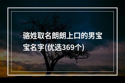 骆姓取名朗朗上口的男宝宝名字(优选369个)