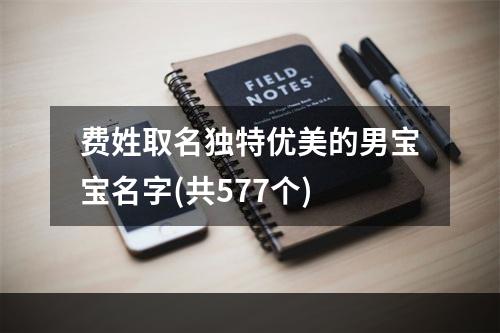 费姓取名独特优美的男宝宝名字(共577个)