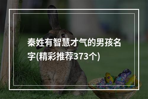 秦姓有智慧才气的男孩名字(精彩推荐373个)