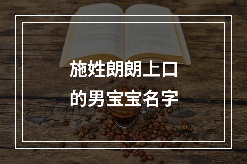 施姓朗朗上口的男宝宝名字