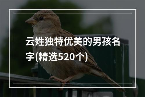 云姓独特优美的男孩名字(精选520个)