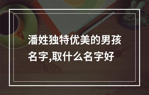 潘姓独特优美的男孩名字,取什么名字好
