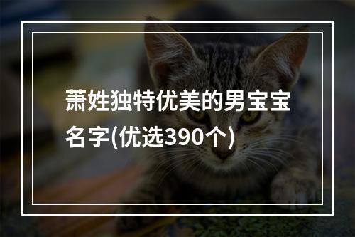 萧姓独特优美的男宝宝名字(优选390个)