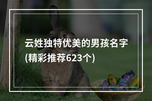 云姓独特优美的男孩名字(精彩推荐623个)