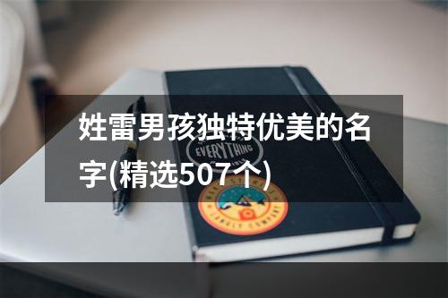 姓雷男孩独特优美的名字(精选507个)