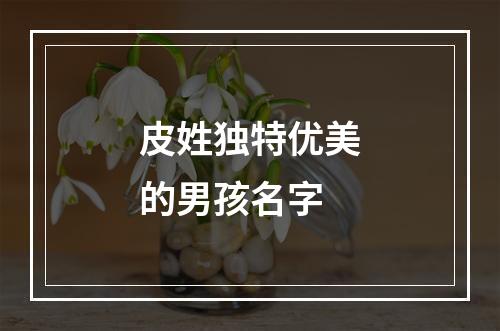 皮姓独特优美的男孩名字