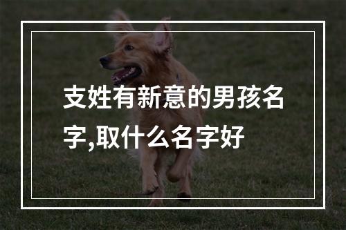 支姓有新意的男孩名字,取什么名字好
