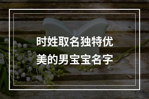 时姓取名独特优美的男宝宝名字