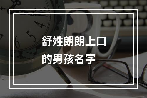 舒姓朗朗上口的男孩名字