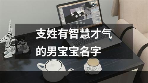 支姓有智慧才气的男宝宝名字