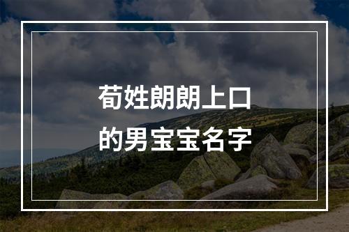 荀姓朗朗上口的男宝宝名字