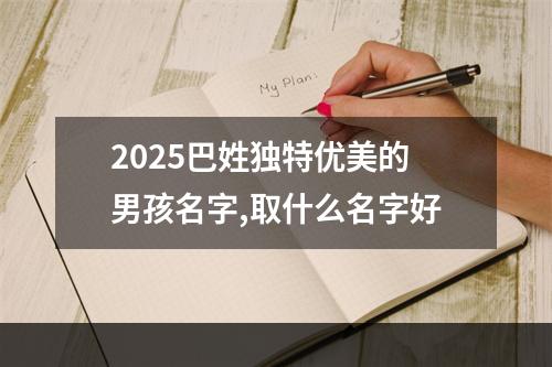 2025巴姓独特优美的男孩名字,取什么名字好