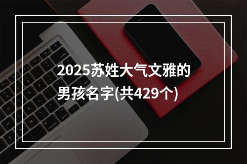 2025苏姓大气文雅的男孩名字(共429个)