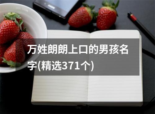 万姓朗朗上口的男孩名字(精选371个)