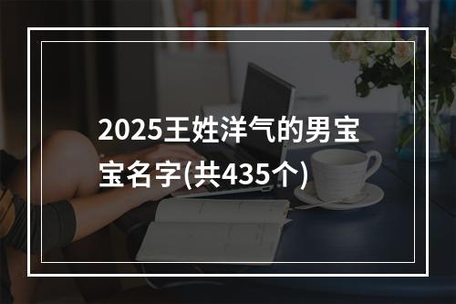 2025王姓洋气的男宝宝名字(共435个)