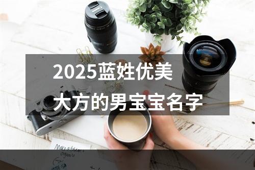 2025蓝姓优美大方的男宝宝名字