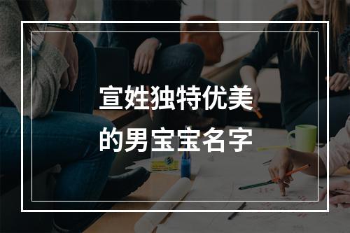 宣姓独特优美的男宝宝名字