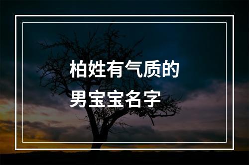 柏姓有气质的男宝宝名字