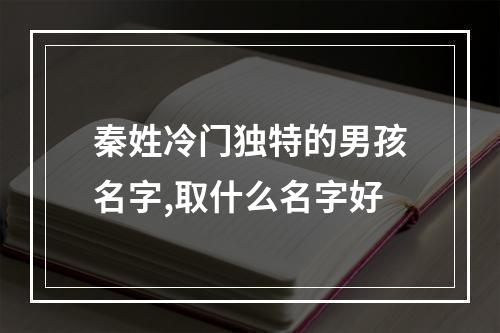 秦姓冷门独特的男孩名字,取什么名字好